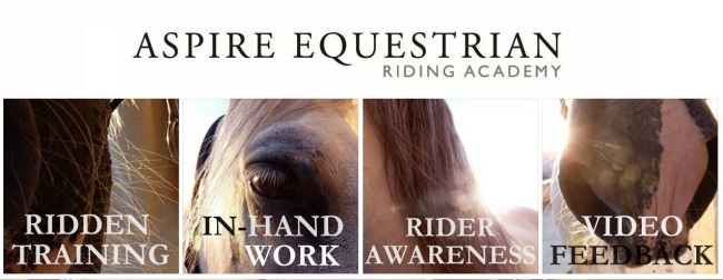 Aspire Equestrian Riding Academy white background 4 PHOTOS
